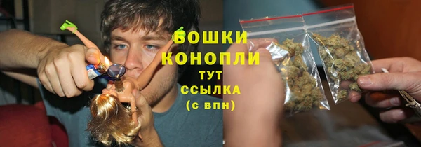 ГАЛЛЮЦИНОГЕННЫЕ ГРИБЫ Арсеньев
