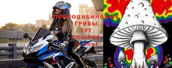 a pvp Аркадак