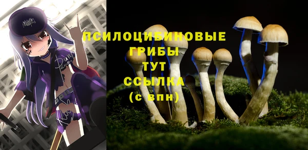 a pvp Аркадак